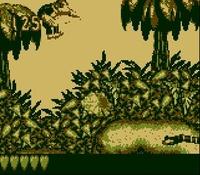 une photo d'Ã©cran de Donkey Kong Land sur Nintendo Game Boy